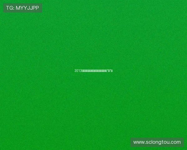 2013网络春晚：那些年，我们一起追过的“网”事