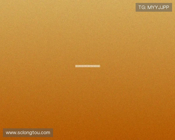 老呆和小呆：一段跨越时光的温情陪伴